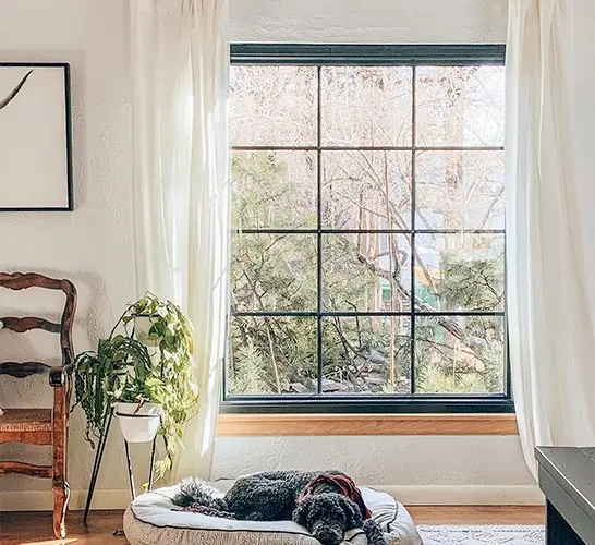 black residential window replacement