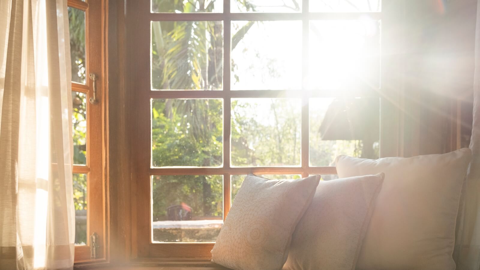 sun coming through living room window