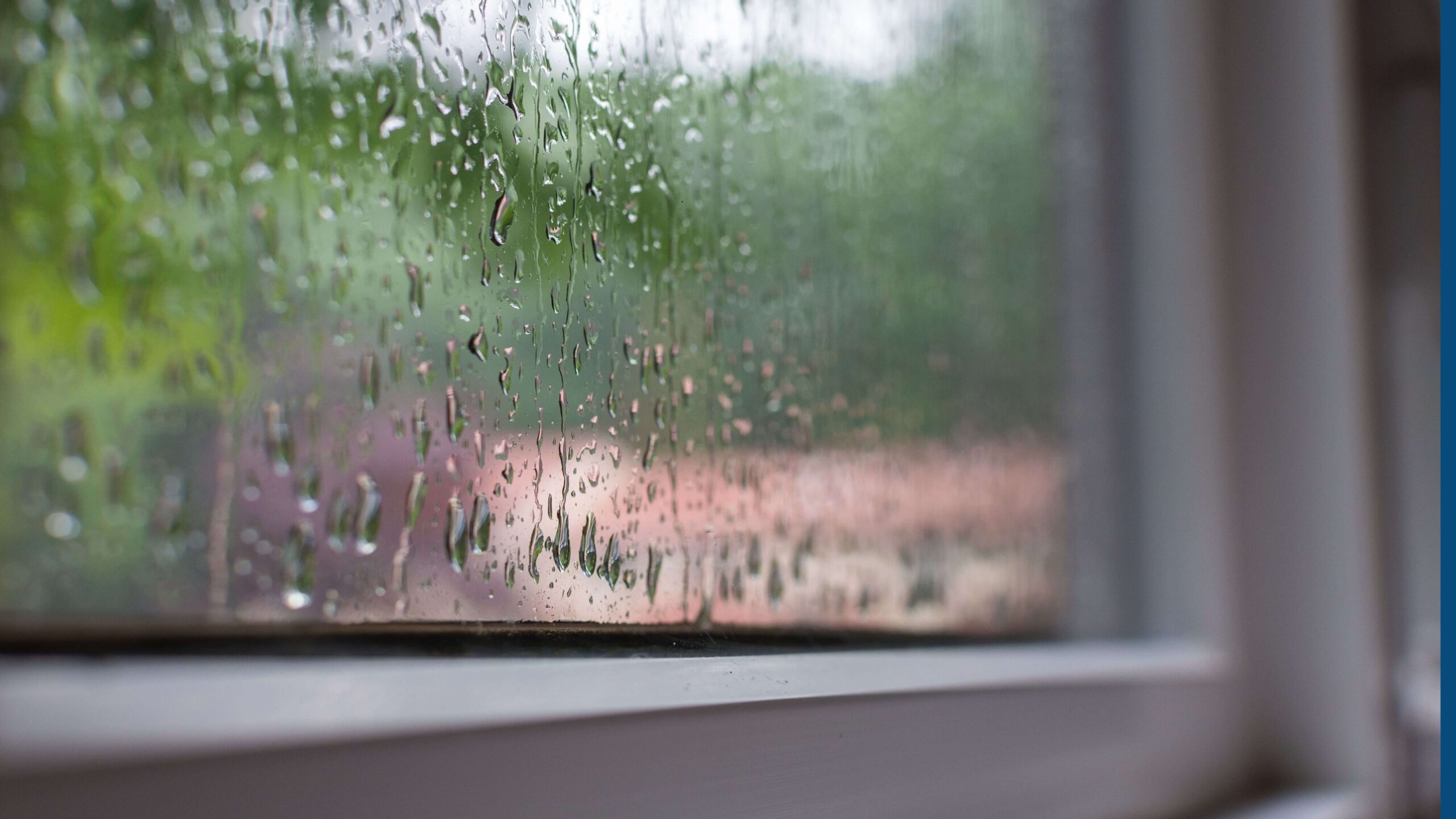 Storm windows