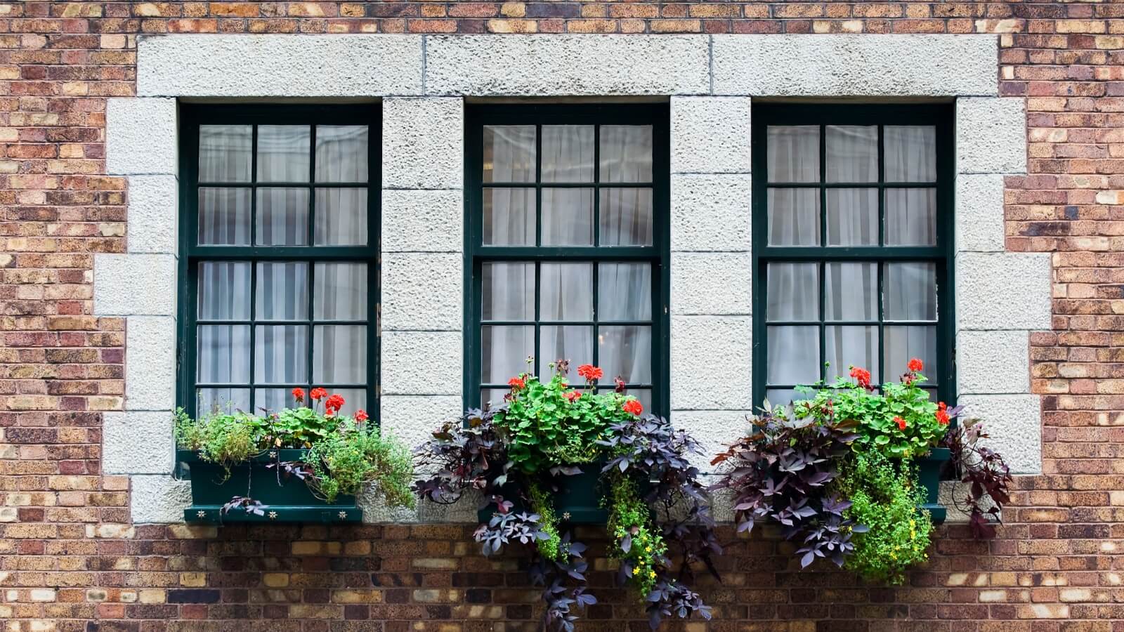Windows with flower boxes