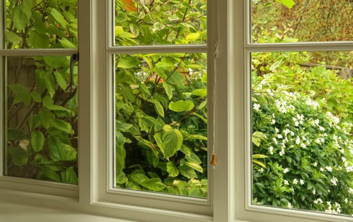 closeup of window with foliage in the background